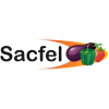 Sacfel Sacfel